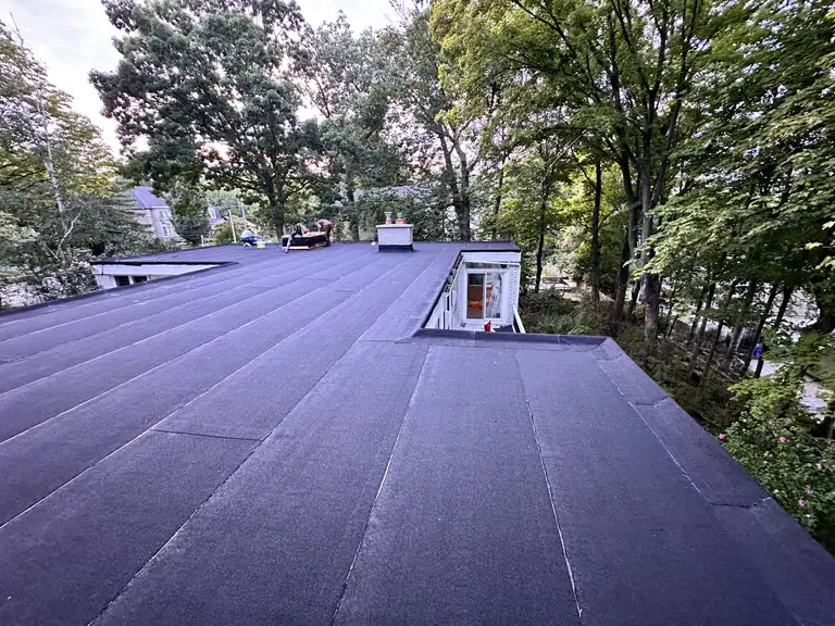 Metal Roofing